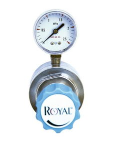 rf1l高純氣體抽真空不銹鋼減壓器