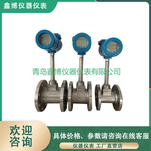 山東熱式氣體質(zhì)量流量計(jì) 精準(zhǔn)高效的氣體儀表解決方案