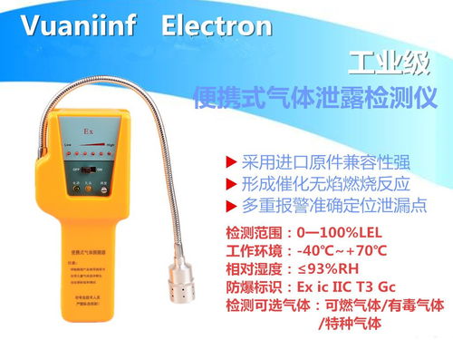 便攜式氣體檢漏儀 工業(yè)安全的關(guān)鍵儀表
