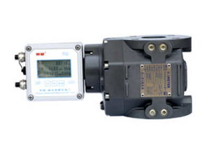 艾美特羅茨流量計(jì) 高精度氣體儀表的技術(shù)與應(yīng)用